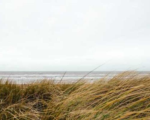 Data centers are amazing. Everyone hates them.